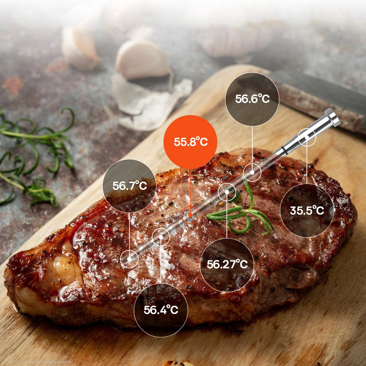 Termometr kuchenny Meatmeet S Pro z do grilla piekarnika wędzarni - szary – zdjęcie 6
